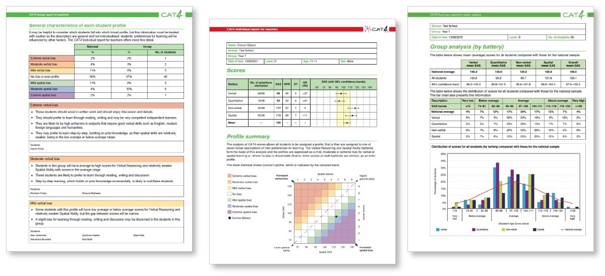 Example CAT4 reports